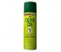 ORGANIC OLIVE OIL SHEEN SPRAY 326G