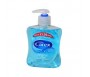 CAREX HAND WASH COMPLETE 250ML