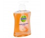 DETTOL LIQUID HAND WASH ANTI-BACTERIAL GRAPEFRUIT 250ML