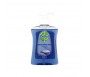 DETTOL LIQUID HAND WASH ANTI-BACTERIAL CLEANS SEA MINERIALS 250ML