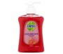 DETTOL LIQUID HAND WASH ANTI-BACTERIAL REVITALISE RASPBERRY 250ML