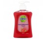 DETTOL LIQUID HAND WASH ANTI-BACTERIAL REVITALISE RASPBERRY 250ML