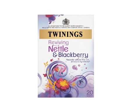 TWININGS WINTER SPICE 40G