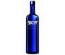 SKYY VODKA 100CL