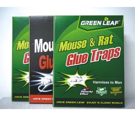 GREEN LEAF MOUSE & RATGLUE TRAP