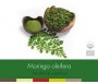 NUTRIZONE MORINGA OLEIFERA