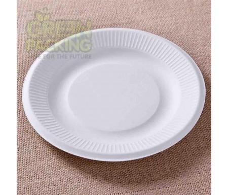 DISPOSABLE PLATE LARGE SIZE