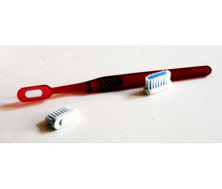 VIP EXCHANGEABLE TOOTHBRUSH