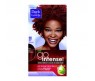 DARK & LOVELY HAIR DYE SPICY RED 40+60ML