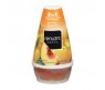 RENUZIT RENEW 2IN1 CITRUS SUNBURST FRESHENER