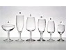 PORTO 6PCS CHAMPAGNE FLUITES