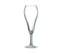 TULIPE 6PCS CHAMPAGNE FLUITES