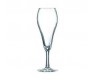 TULIPE 6PCS CHAMPAGNE FLUITES