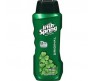 IRISH SPRING BODY WASH ORIGINAL 109ML