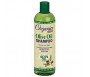 ORGANICS OLIVE OIL SHAMPOO 355ML