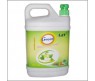 GREEN DISHWASHING LIQUID 2L