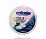 EXCITE MINT WINTERGREEN