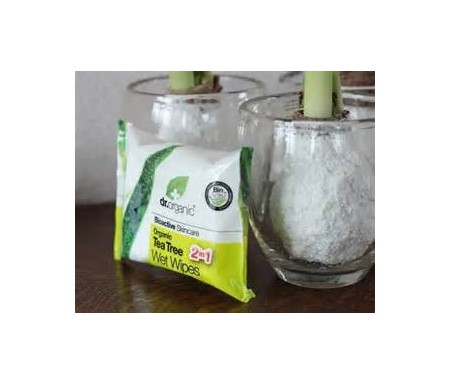 ORGANIC TEA TREE WET WIPES X20