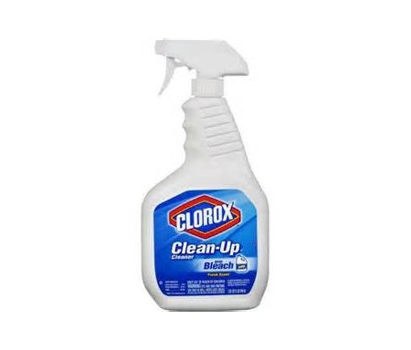 CLOROX CLEAN UP