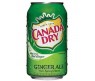 CANADA DRY GINGER ALE 500ML X12