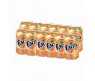 PKT FANTA CAN X 12